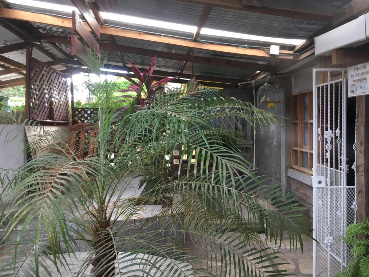 Murph'S Surf Shacks Rivas Eksteriør billede